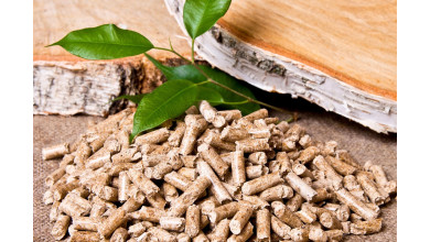 Jakie gatunki drzew są używane w trakcie wytwarzania pelletu?