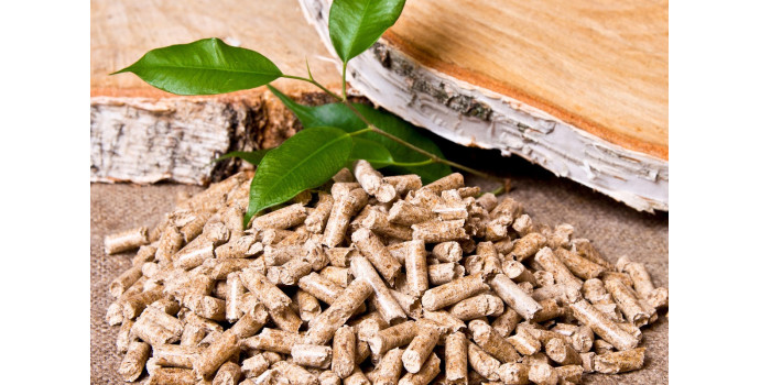 Które gatunki drzew najlepiej nadają się do produkcji pelletu?
